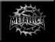 ���� ����� ��metalic_bluz